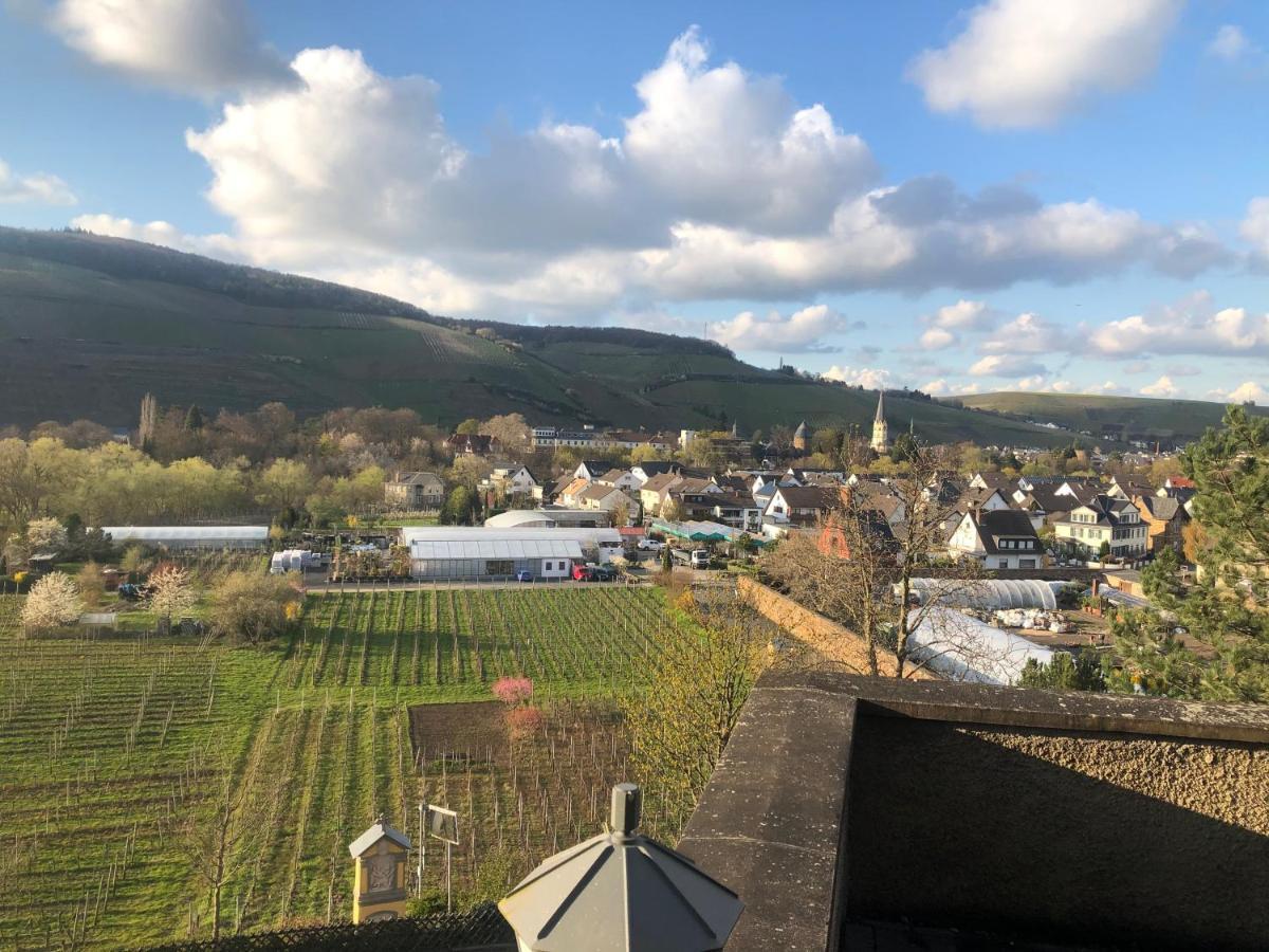 Mausberg * Bad Neuenahr-Ahrweiler